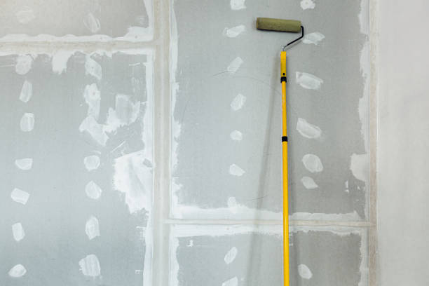 Best Mold Odor Removal Services  in Sacramento, CA