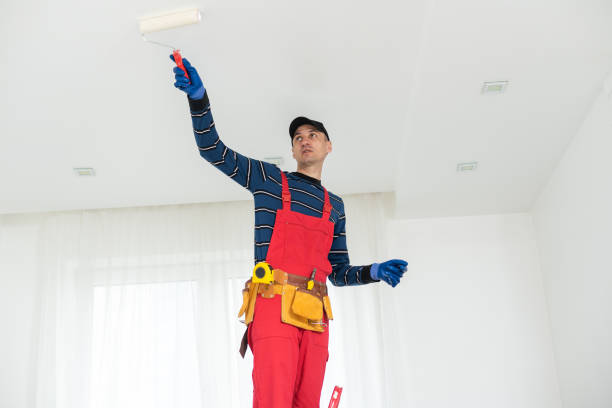 Professional Mold Removal in Sacramento, CA